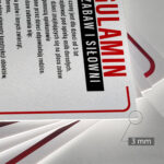 "Tablica Regulamin Placu Zabaw i Siłowni – Zasady Bezpieczeństwa" - obrazek 2